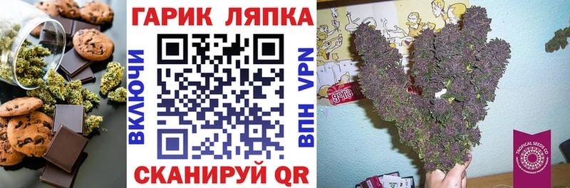 Canna-Cookies марихуана  цены   Нововоронеж 