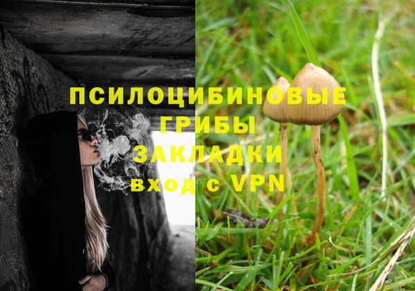 2c-b Аркадак