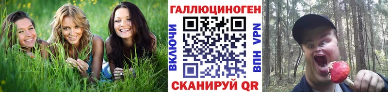 Галлюциногенные грибы GOLDEN TEACHER  Нововоронеж 